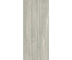Caesar Iconica Silver Verso 120x278 Matt. Rett.