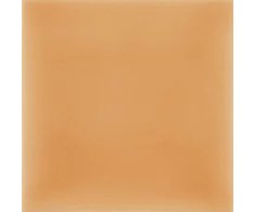 Aleluia Urban Atelier Salmao 10x10