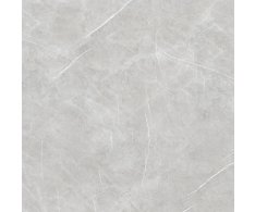 Azuvi Aran Light Grey 120x120 Matt. Rett.