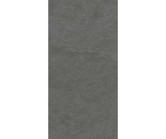 Caesar SLAB2 Aextra20 Iron 45x90 Rett. (tl. 20mm)