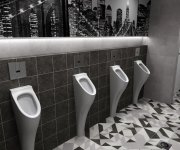 Sapho Podomítkový Automatický Splachovač Pro Urinál 24v Dc, Nerez Lesk